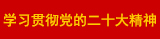 二十大 banner.jpg